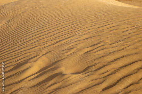 Sand dunes. Orange desert sand