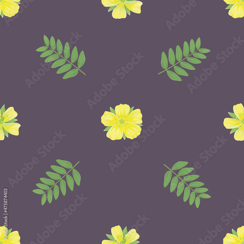 vector seamless pattern with gokshura tribulus plant-01 photo