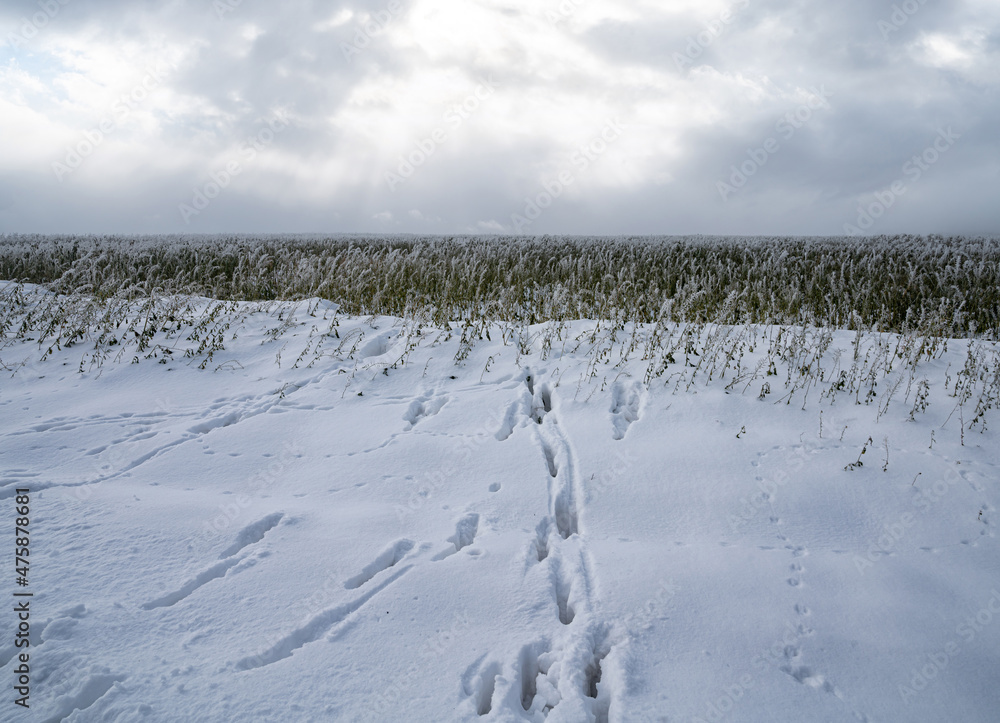 Winterlandschaft - Spuren im Schnee Winterlandschaft - Spuren im Schnee