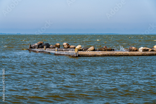 A pier in Langendamm, Mecklenburg-Western Pomerania, Germany