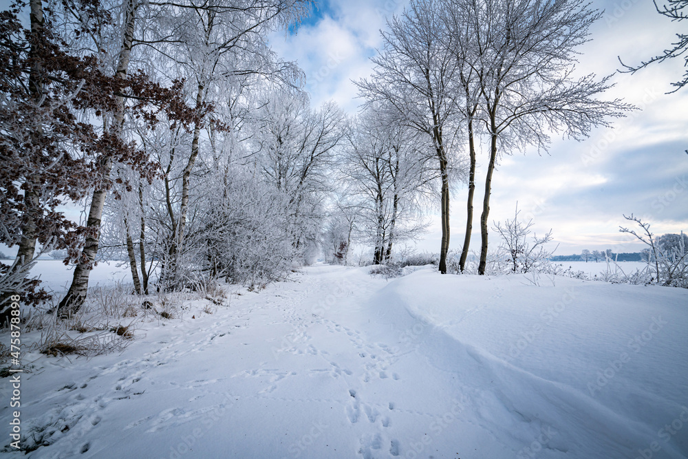 Winterlandschaft - Schneebedeckte Wege, Landschaften und Felder