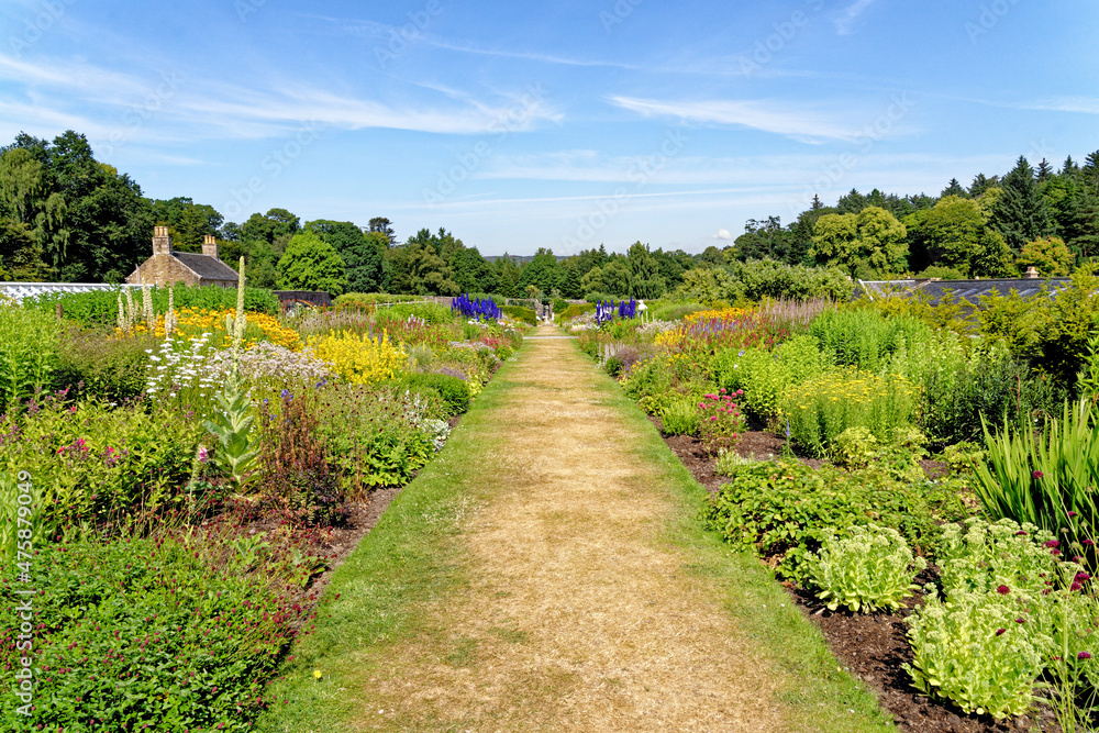 Obraz premium Culzean Park in summertime - Scotland
