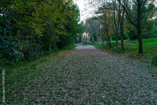 Walking path at Villa Doria Pamphili city park in Rome, Italy photo