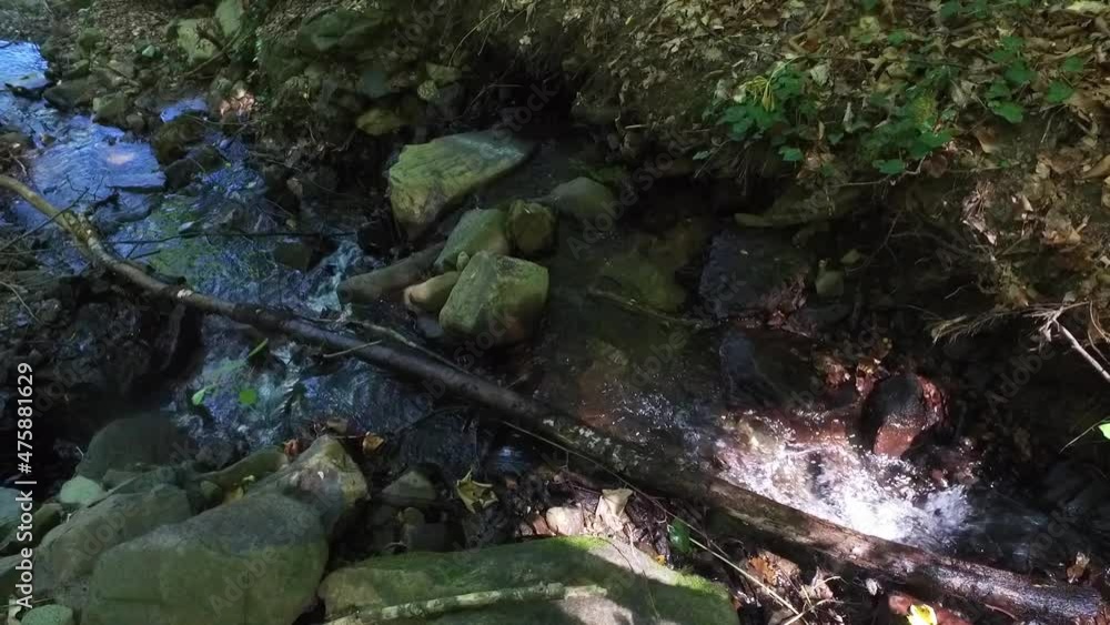 A small waterfall in the mountains. Mountain river in the gorge. Walk through the Reserve. A stream of pure water. Water source. High quality FullHD footage A small waterfall in the mountains. Mountain river in the gorge. Walk through the Reserve. A stream of pure water. Water source. High quality FullHD footage