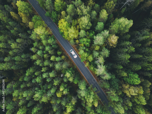 Aerial view asphalt road and green forest. Country road going through forest with car adventure view from above. Ecosystem and ecology healthy environment concept and background. © raland