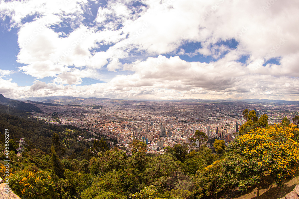 Bogota ojo de pez