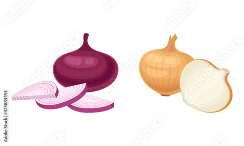 Fresh whole and sliced yellow and red onion bulbs set vector illustration