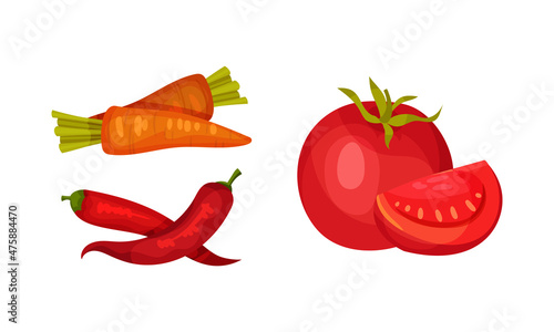 Ingredients for pasta cooking set. Chilly pepper, carrot and tomato vector illustration