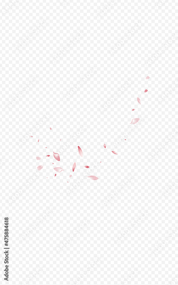 Delicate Cherry Fly Vector Transparent