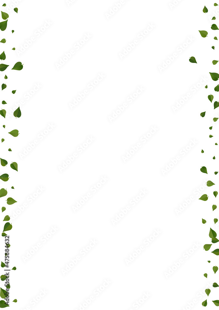 Green Foliage Tree Vector White Background Green Foliage Tree Vector White Background