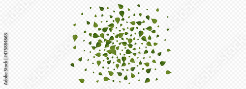 Forest Leaves Swirl Vector Panoramic Transparent