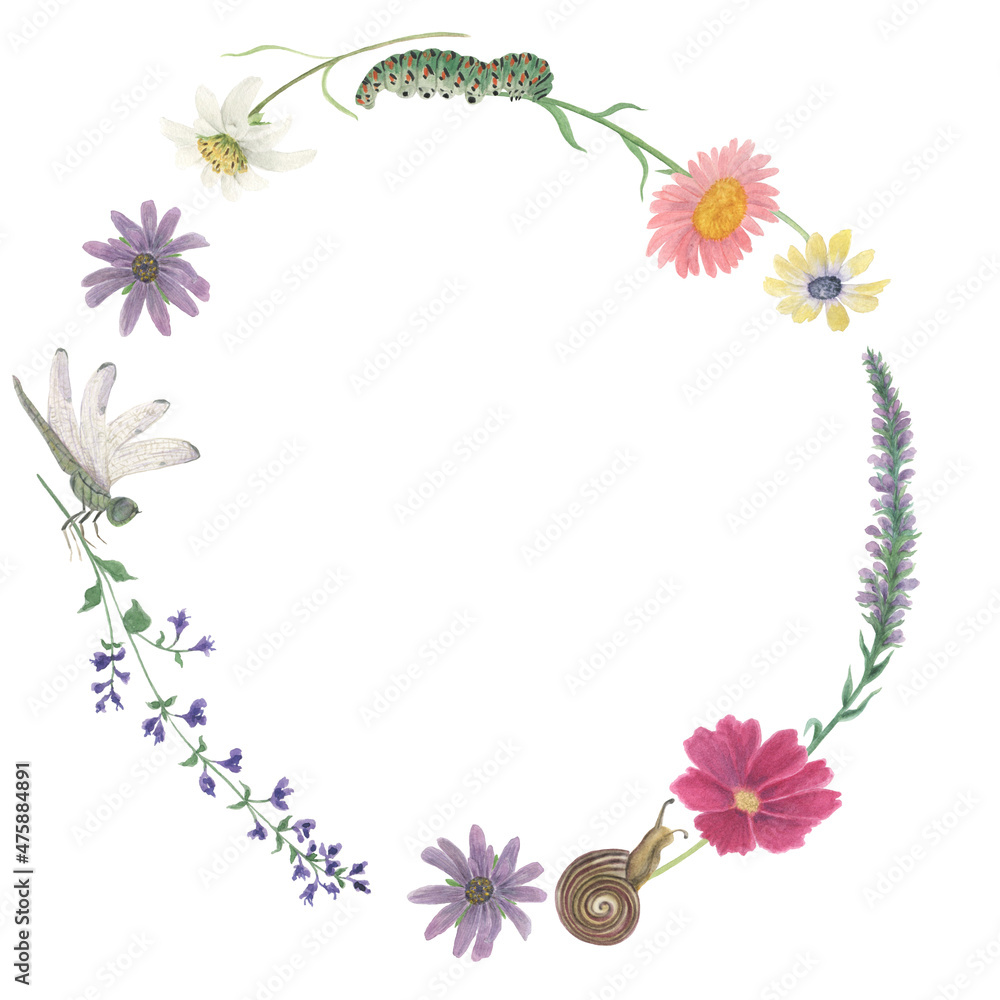 Watercolor painting botanical wreath with flowers, caterpillar, dragonfly, snail