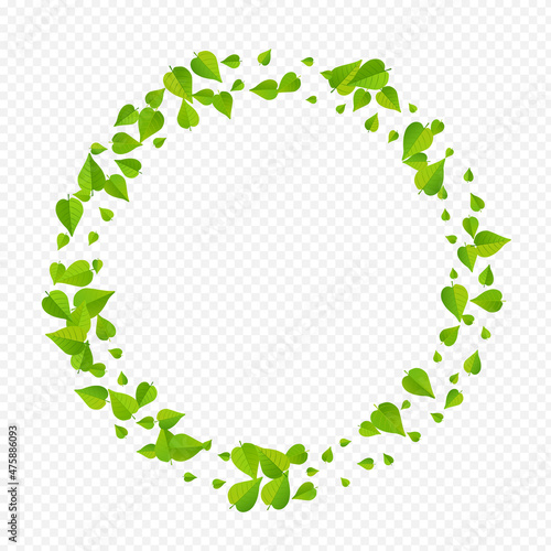 Green Greens Herbal Vector Transparent Background