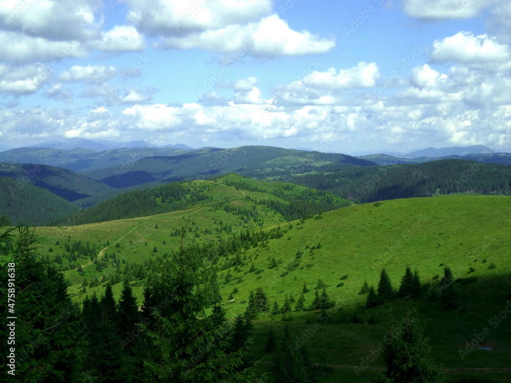 Naklejka premium Summer in the mountains