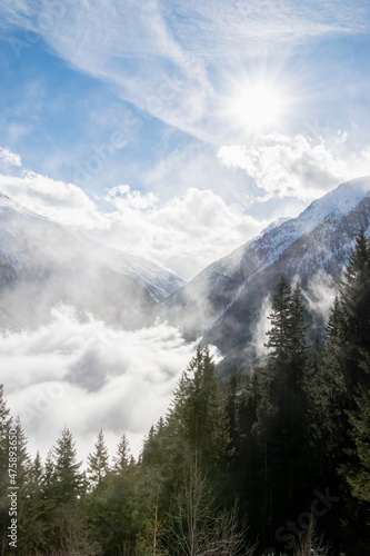 Wunderschöne Berglandschaft mit schneebedeckten Bergen und Tannen im Vordergrund im Zillertal in Österreich © Manuela Ewers