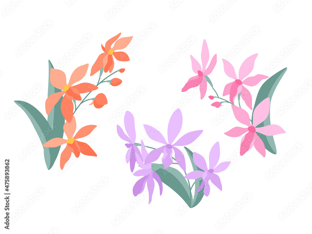 Decorative sprigs of orchid flowers (Darwinara) on a white background, flat illustration. A set of simple small delicate bouquets for your design. Flat cartoon vector illustration.