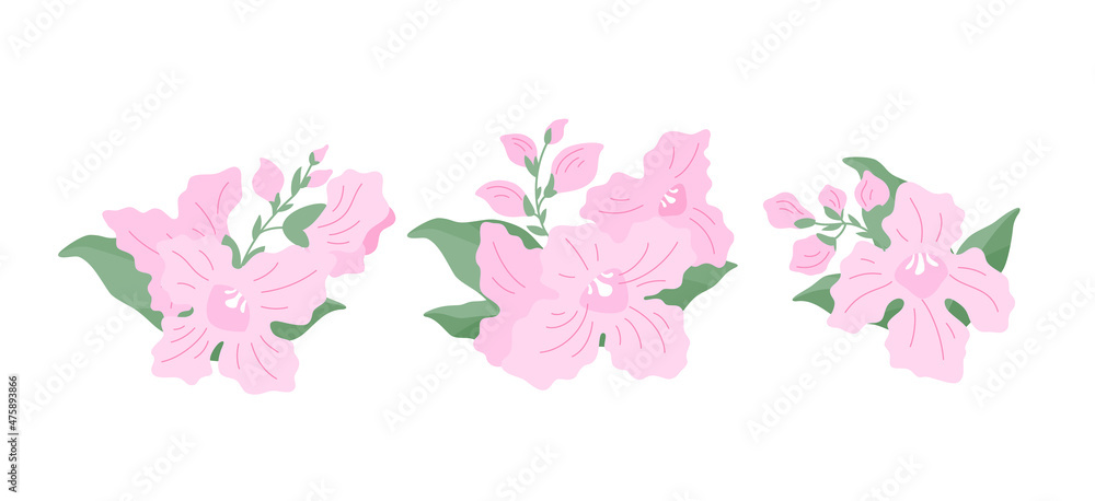 Three sprigs of flowers (Chitalpa tashkentensis) on a white background, flat illustration. A set of simple small delicate bouquets for your design. Flat cartoon vector illustration.