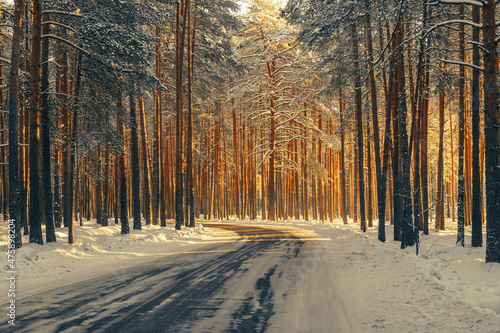 Landscape with winter forest and sunset