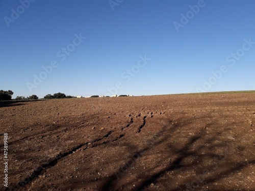 plowed field in winter