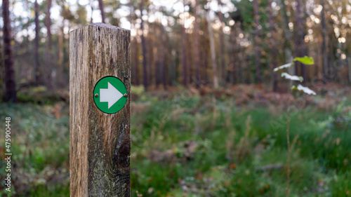 Green hiking trail marker pointing the direction in the woods photo