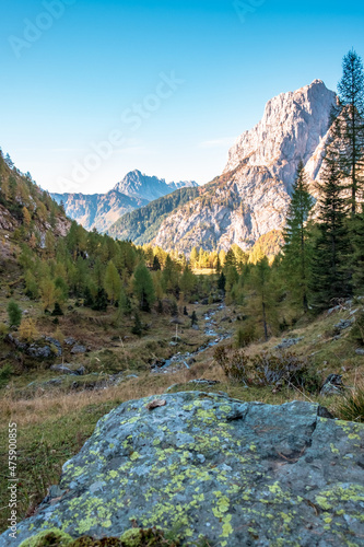 Fototapeta Naklejka Na Ścianę i Meble -  The Carnic Alps in a colorful autumn day