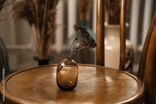 Beautiful dried flowers. Aesthetics in the interior. Floristry.