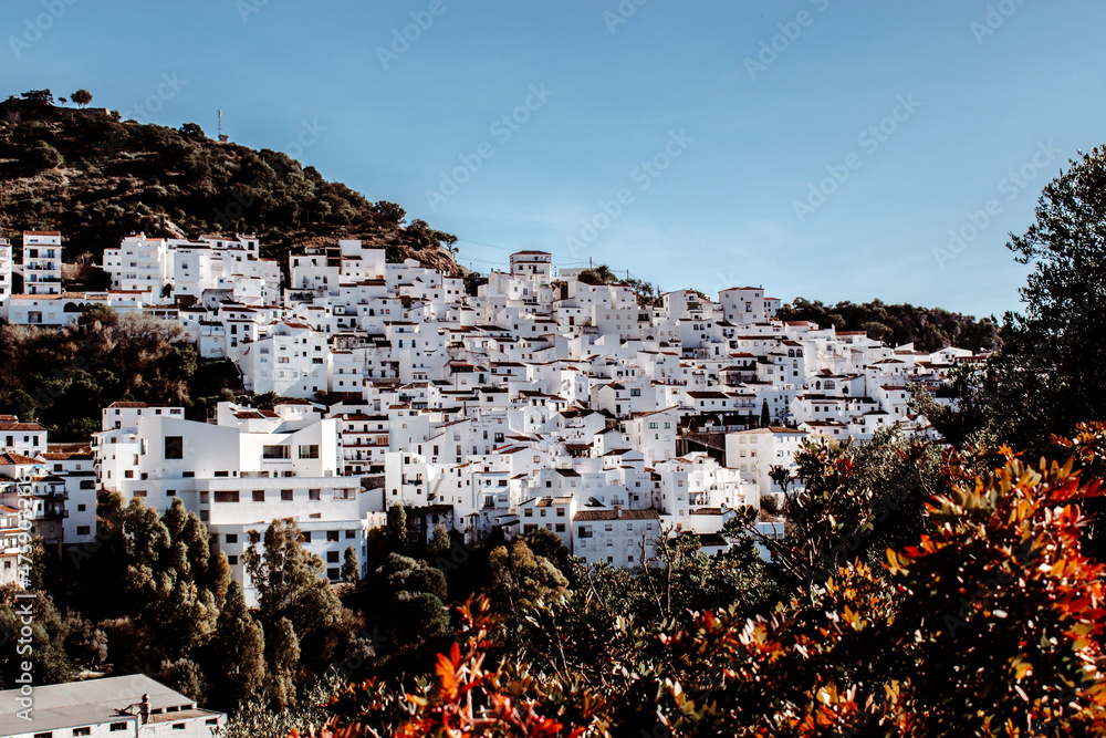 Obraz premium view of the city