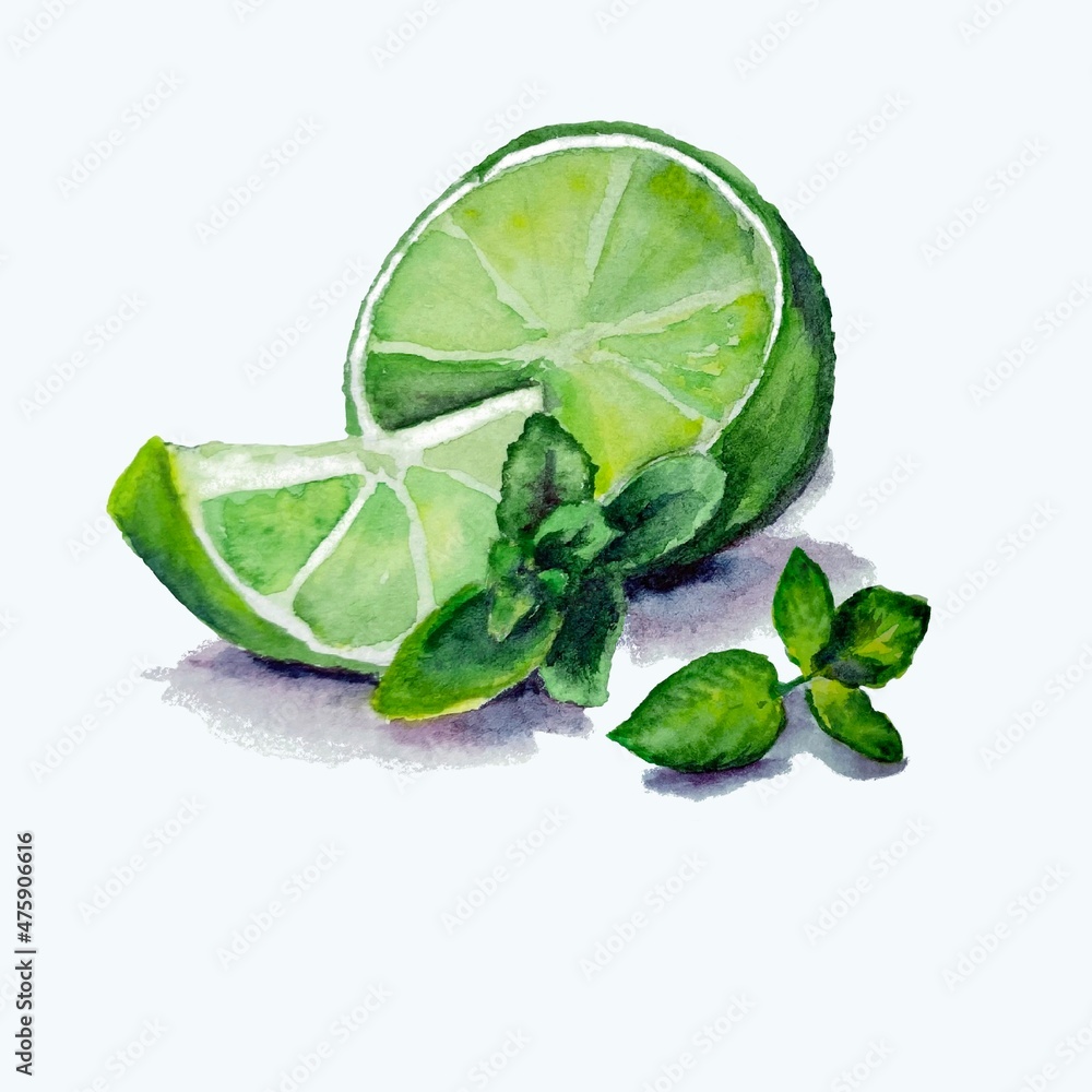 Fototapeta premium Hand drawn watercolor lime pieces and mint