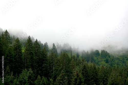 Mountains with clouds landscape travel aerial view wilderness snowy peak and quiet forest evening landscape.