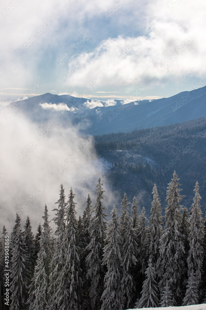 Fototapeta premium clouds floating on the mountain