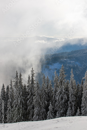 winter mountain landscape with fog