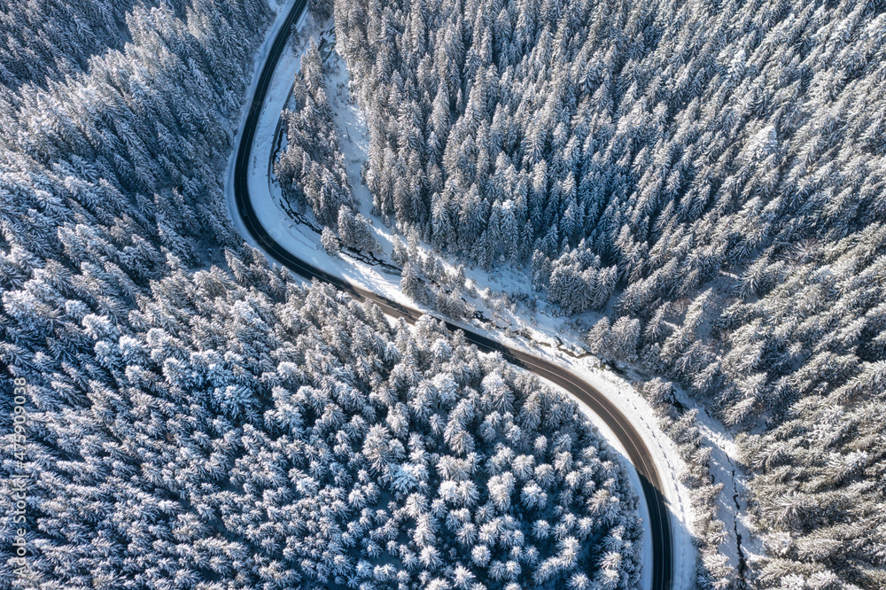 Aerial view on the road and forest at the winter time.