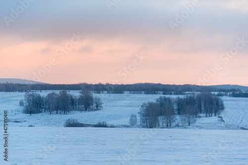 Trees away from the field. Dawn in winter. © Ilya
