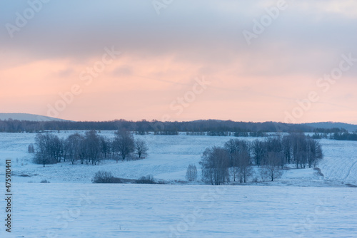 Trees away from the field. Dawn in winter.