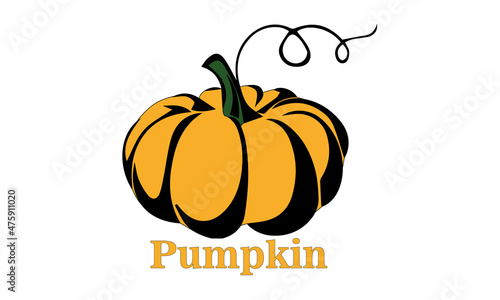 Pumpkin graphic vector