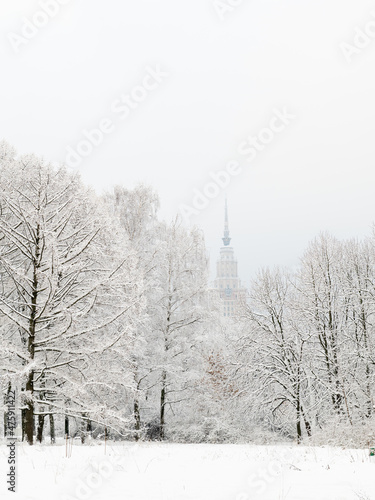 snow covered trees