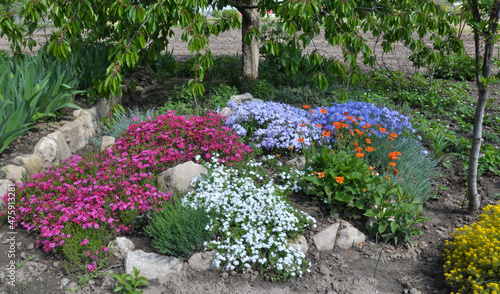 Fotografie Flowerbed in the garden