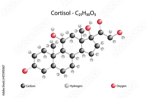 Molecular formula of cortisol. Cortisol is a corticosteroid hormone produced in the shell region of the adrenal gland, associated with the body's response to stress. photo
