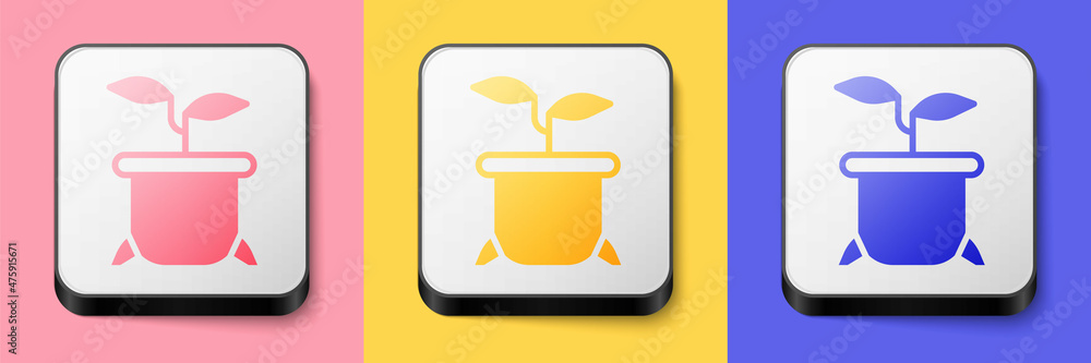 Isometric Plant in pot icon isolated on pink, yellow and blue background. Plant growing in a pot. Potted plant sign. Square button. Vector Isometric Plant in pot icon isolated on pink, yellow and blue background. Plant growing in a pot. Potted plant sign. Square button. Vector