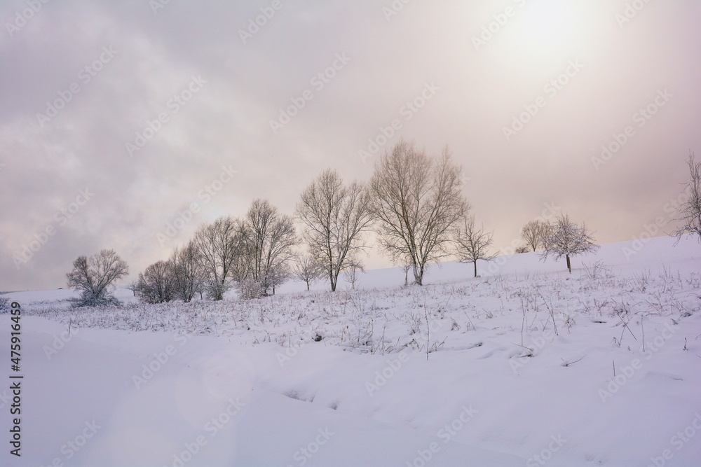 Winter landscape with a lot of snow and  trees in the evening