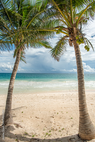 Fototapeta Naklejka Na Ścianę i Meble -  Tulum wild beach near to Cancun - Mexico