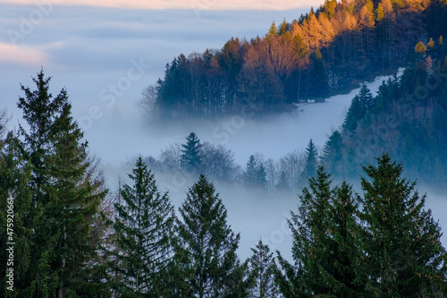 Fototapeta Naklejka Na Ścianę i Meble -  Wälder ragen in ein Nebelmeer und die Sonne wirft Schatten darauf.