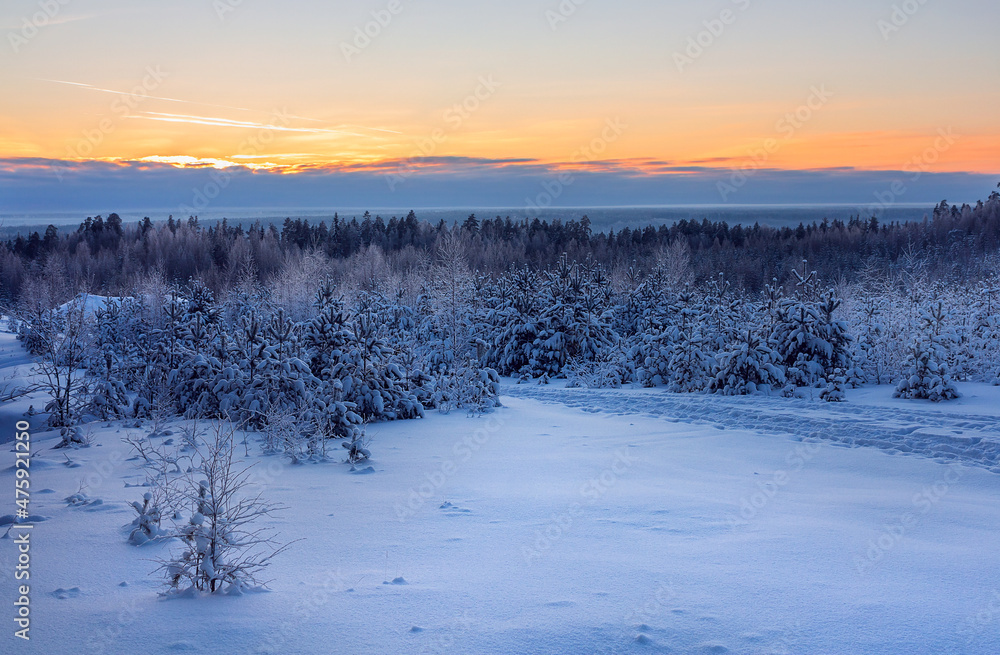 Winter sunset. Natural landscape with trees under the snow. Winter sunset. Natural landscape with trees under the snow.