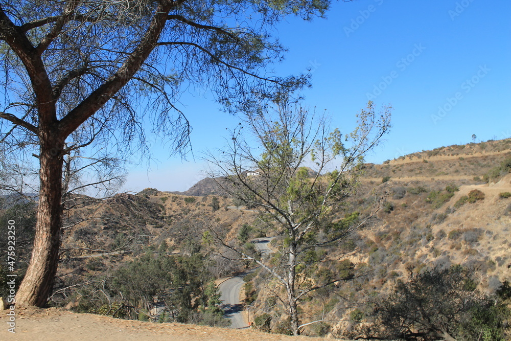 Fototapeta premium Trail of Hollywood Sign