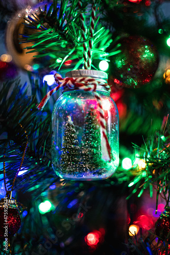 Trapped Christmas trees