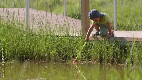 Little boy tries to catch something from pond with butterfly net. Summer leisure activity for children. Hot weather.