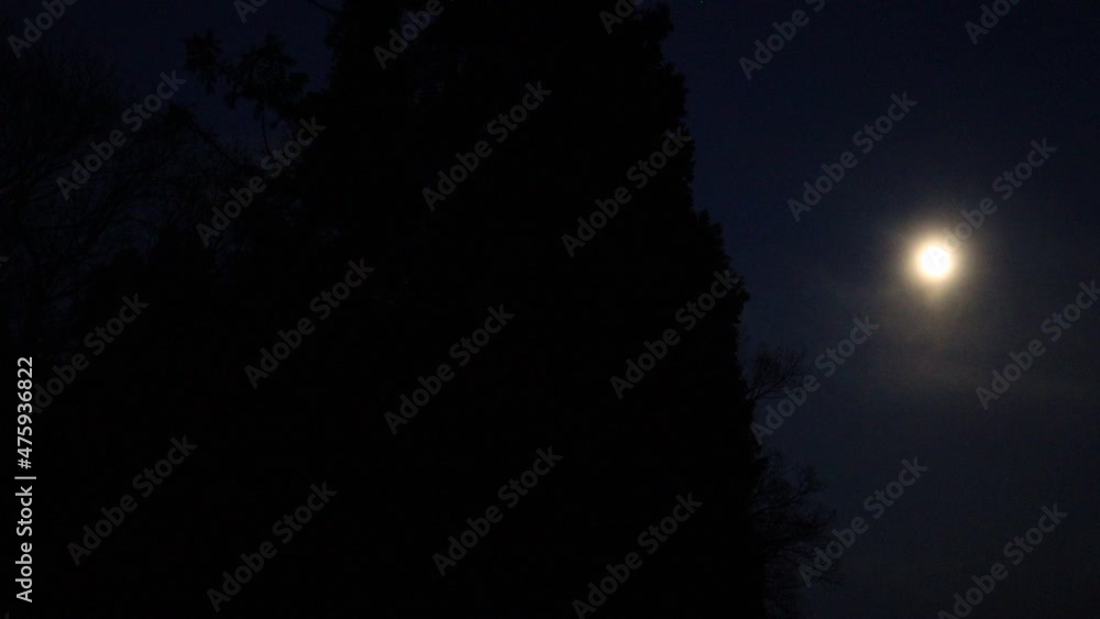 夜空に浮かぶ満月 2021年12月 コールドムーン 夜空に浮かぶ満月 2021年12月 コールドムーン