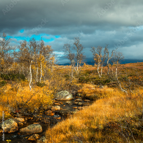 Beautiful shot of a colorful autumn in Stuggudalen in the Sylan Mountains, Norway photo