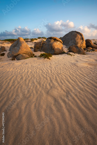 Windblown sand lines in the golden morning light of the Arashi Dunes in Aruba. photo