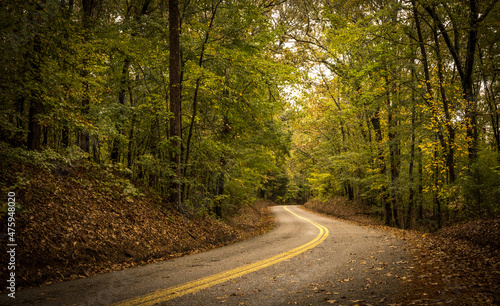 Beautiful shot of the park road, Tombigbee State park photo